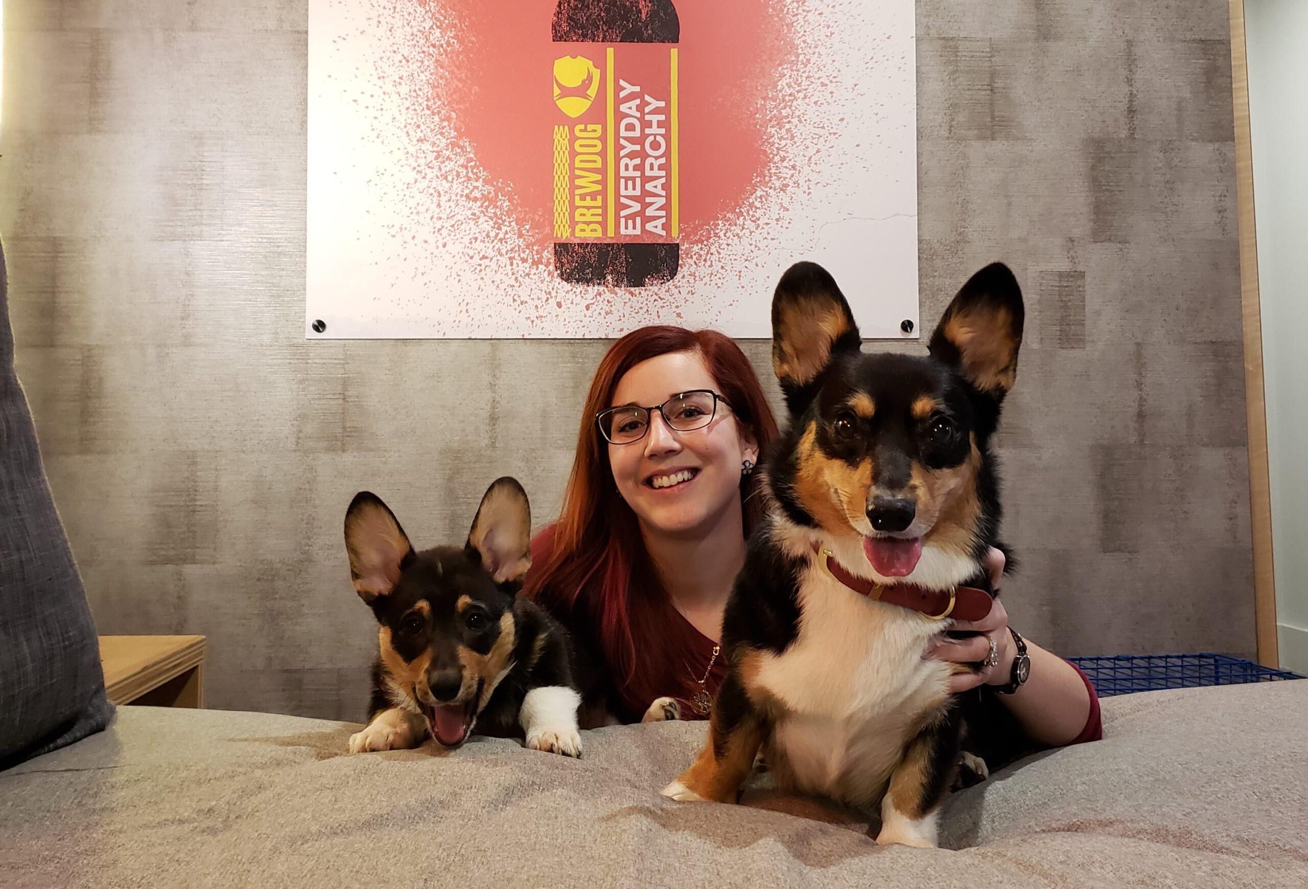 A Review of BrewDog's First Dog Friendly Hotel USA - Dog Furiendly