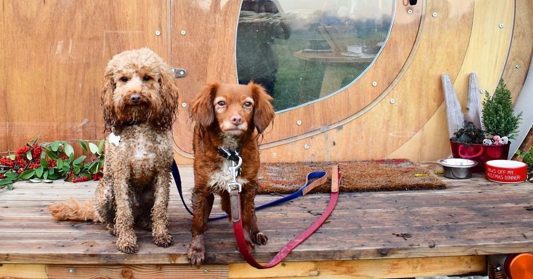 A Cosy Cabin Getaway in Herefordshire - Dog Furiendly