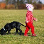 Juggling Toddlers and Dogs - Dog Furiendly