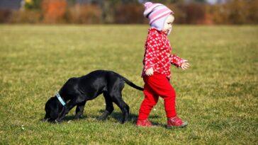 Juggling Toddlers and Dogs - Dog Furiendly