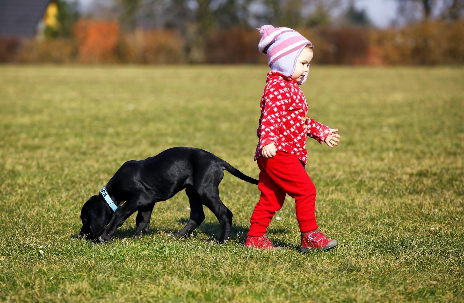 Juggling Toddlers and Dogs - Dog Furiendly