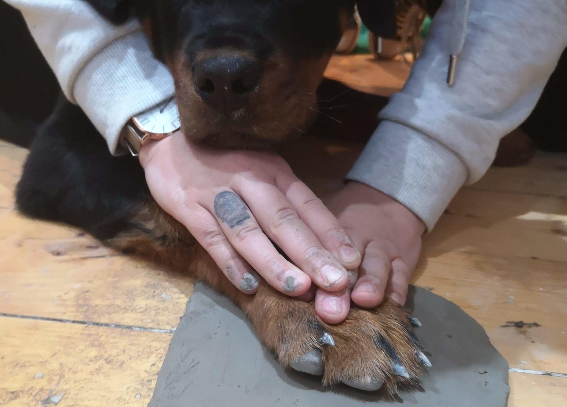 Pottery with the Pooch - Spin Pottery Class Glasgow