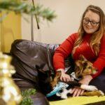 Dog Friendly Christmas at Old Lanwarnick Cottage