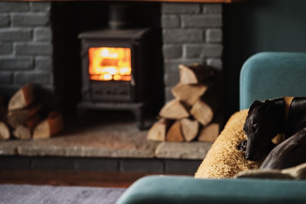 Dog Sitting by Fireplace
