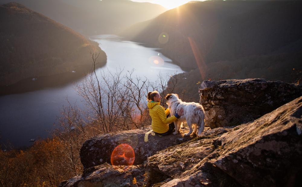 Check out our list of the best dog friendly hiking trails all around the world!