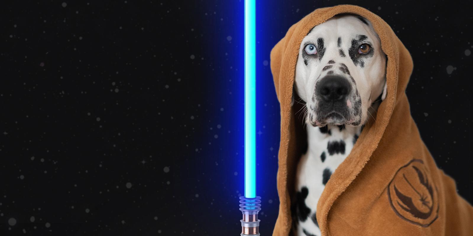 Loki is feeling the paws of all these Star Wars dog gifts!