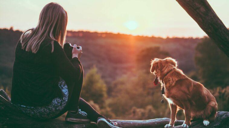 You can never have too many photos of your pooch. To take great pictures of your dog you need to follow our list of tips and tricks