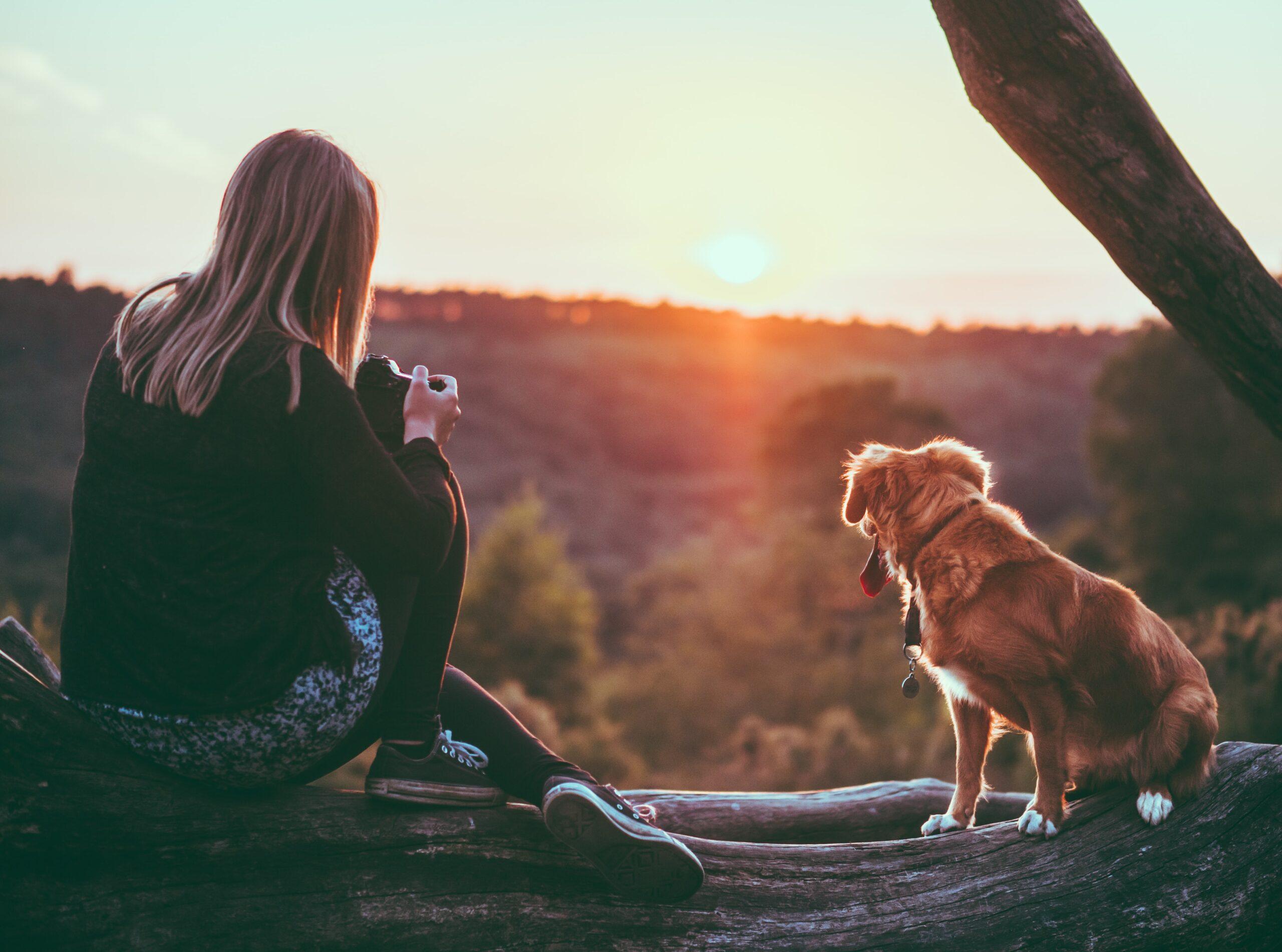 You can never have too many photos of your pooch. To take great pictures of your dog you need to follow our list of tips and tricks