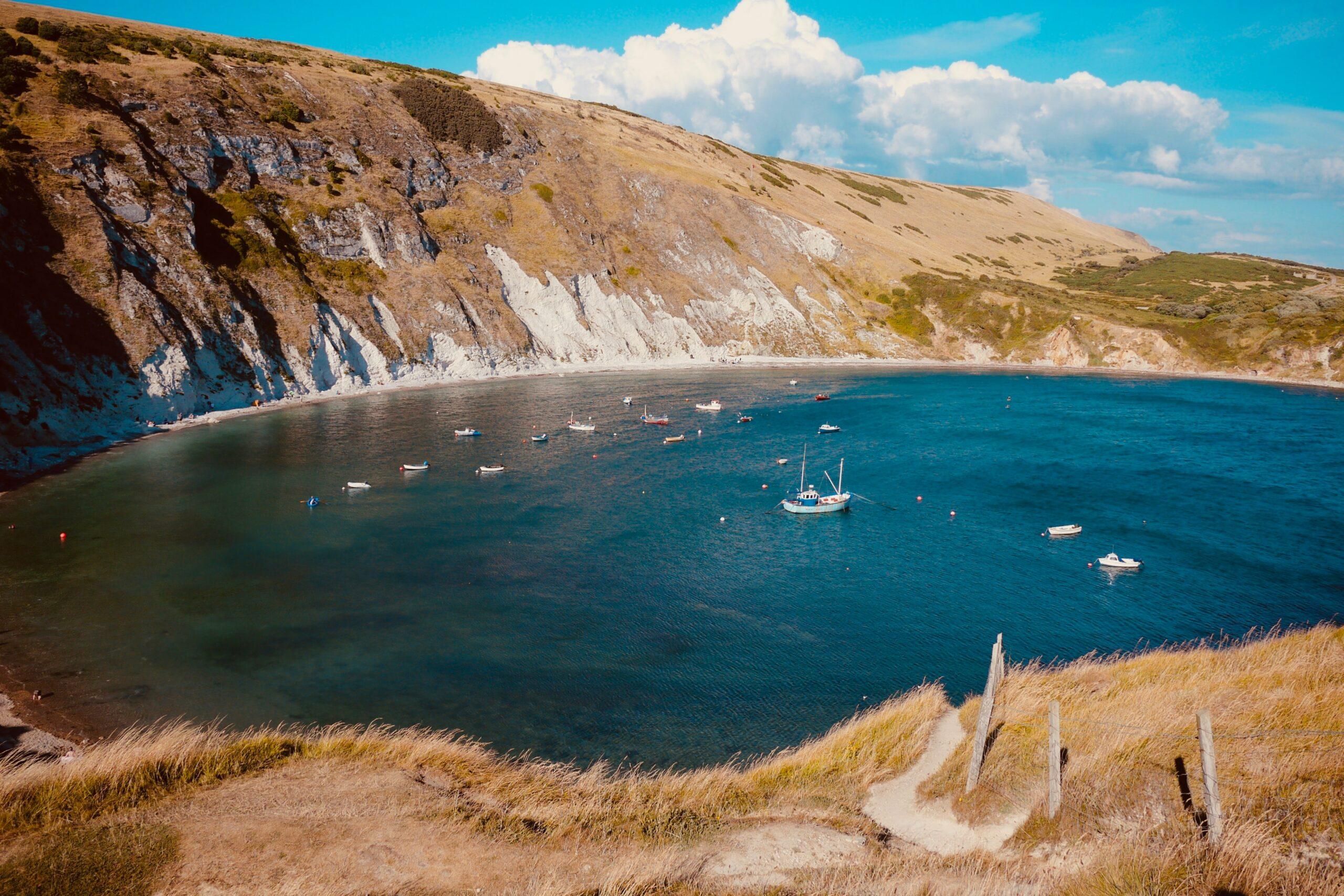 Dorset is a fantastic dog friendly destination