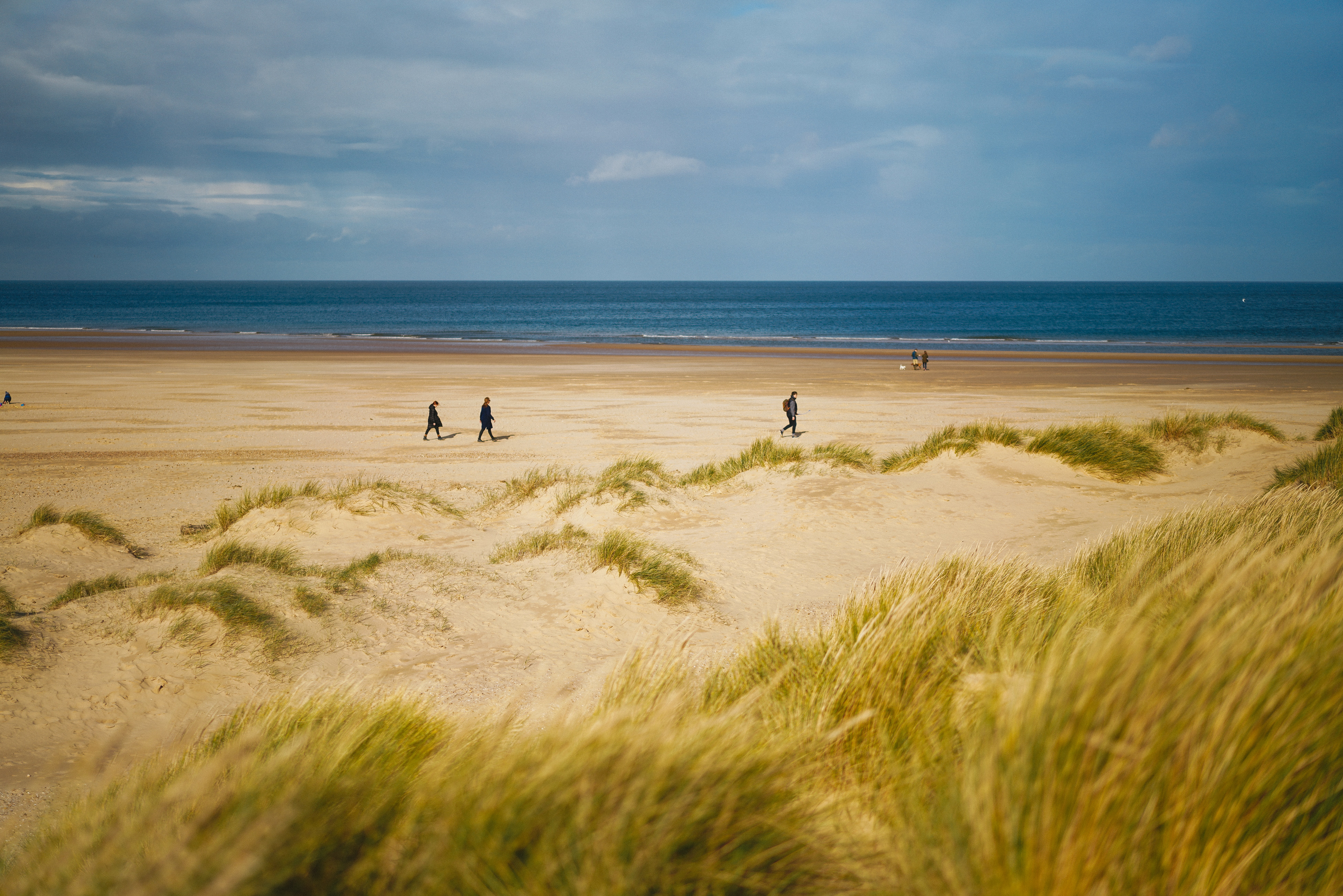 Dog friendly Norfolk is a fantastic place to getaway with your pooch.