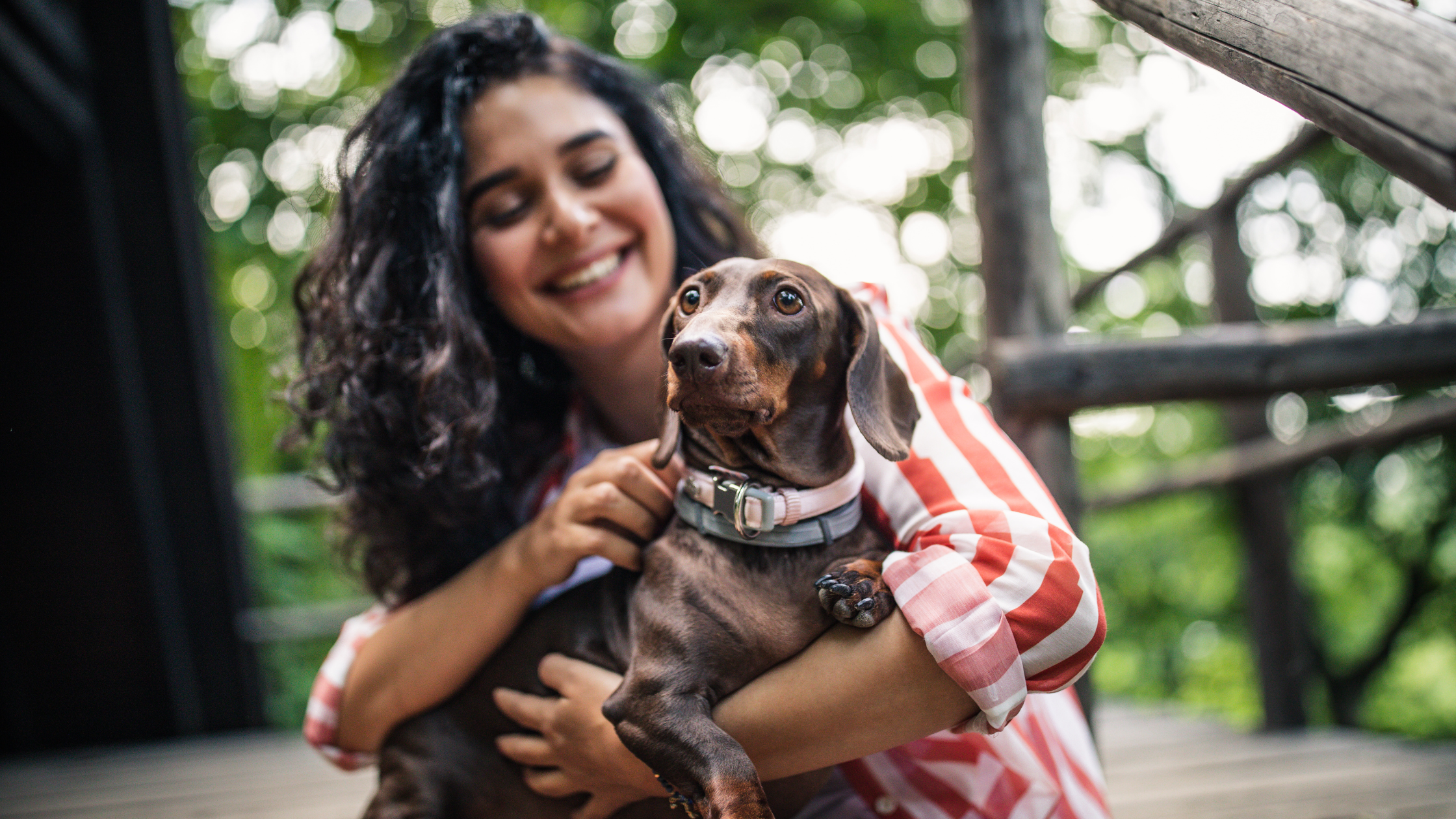 5 Money Saving Tips For Dog Owners