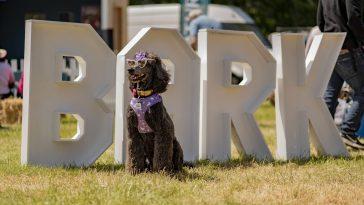 Dogstival